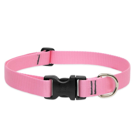 Lupine Pet Dog 1 In Wide 12-20 In Adjustable Collar Basics Pink