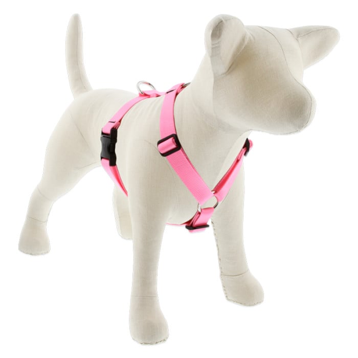 Lupine Pet Dog 1 In 20-32 In Roman Harness Basics Pink