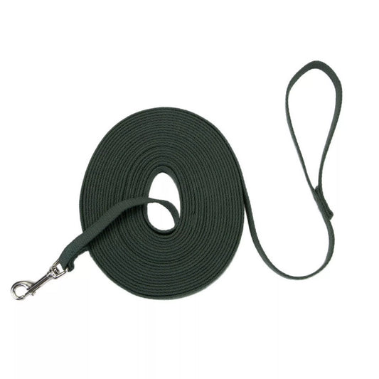 Coastal Train Right 6ft Long 5/8in Cotton Web Dog Leash  Green