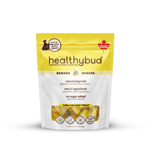 Healthybud 5.3oz Banana Chip Dog Treats