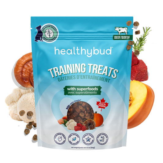 Healthybud 6.5oz Beef Mini Training Treats for Dogs