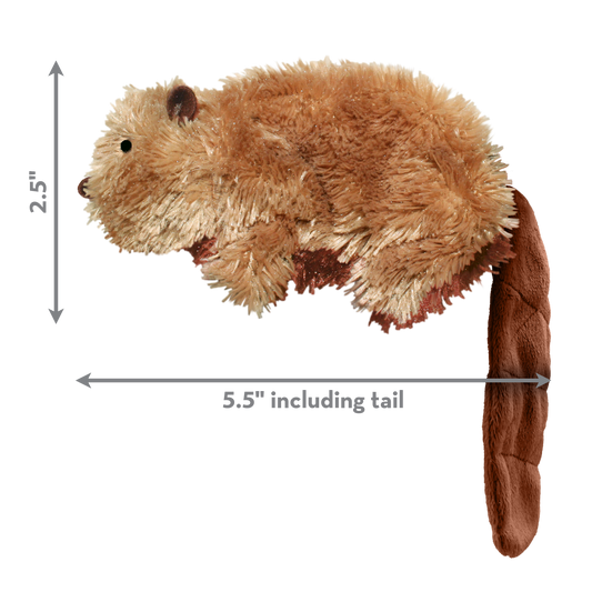 Kong Dog Toy Dr. Noyz Beaver Small