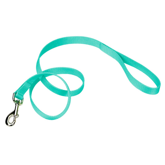 Coastal Single-Ply Dog Leash, Teal, X-Small - 3/8in x 4ft