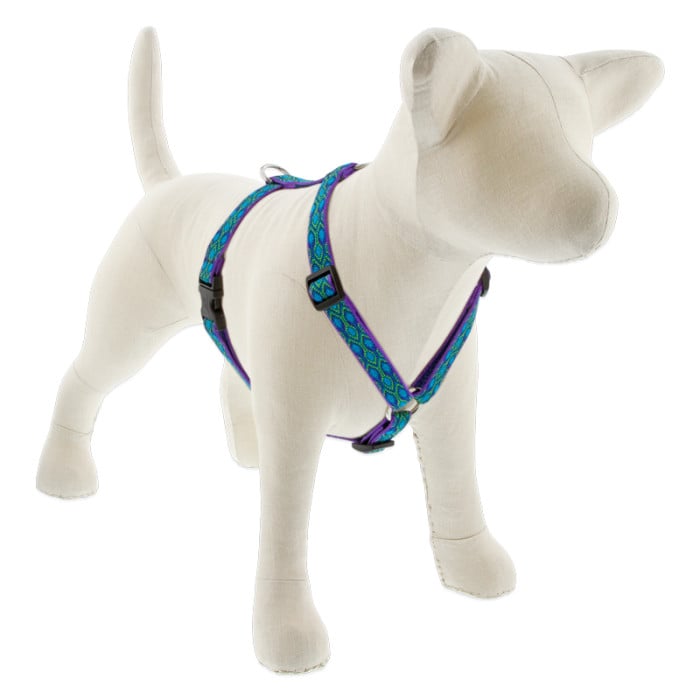 Lupine Pet Dog 3/4 In Wide 12-20 In Roman Harness Original Designs Ra In Song