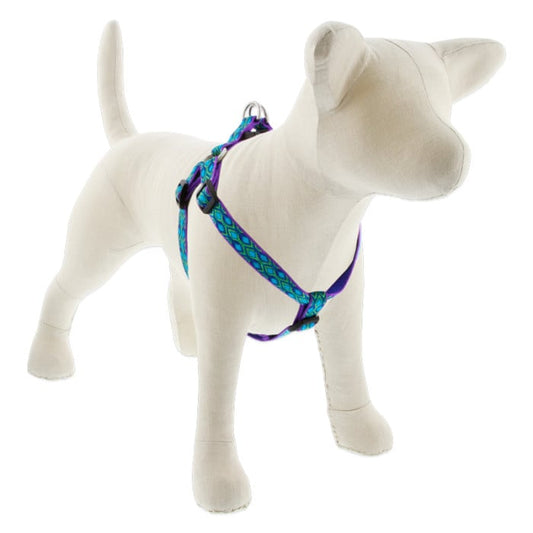 Lupine Pet Dog 3/4 In Wide 15-21 In Step  In Harness Original Designs Ra In Song