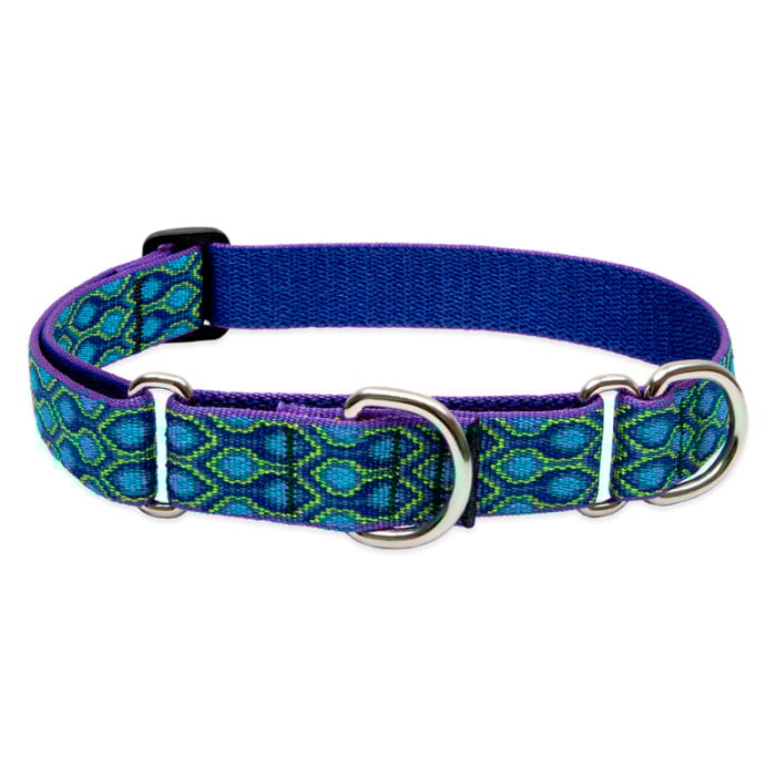 Lupine Pet Dog 1 In Wide 19-27 In Martingale Collar Original Designs Ra In Song
