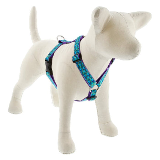 Lupine Pet Dog 1 In 20-32 In Roman Harness Original Designs Ra In Song