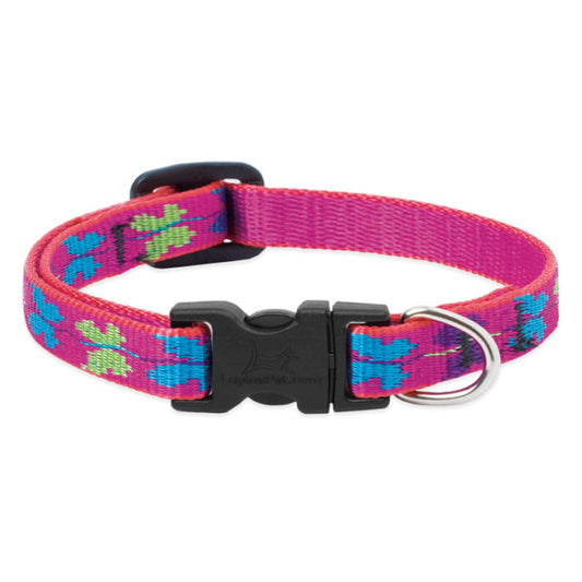 Lupine Pet Dog 1/2 In Wide 8-12 In Adjustable Collar Original Designs W Ing It