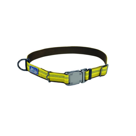 Coastal K9 Explorer 1in Wide 12-18in Reflective Adjustable Dog Collar Goldenrod