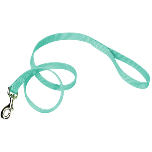Coastal Single-Ply Leash Teal 3/4in x 4ft