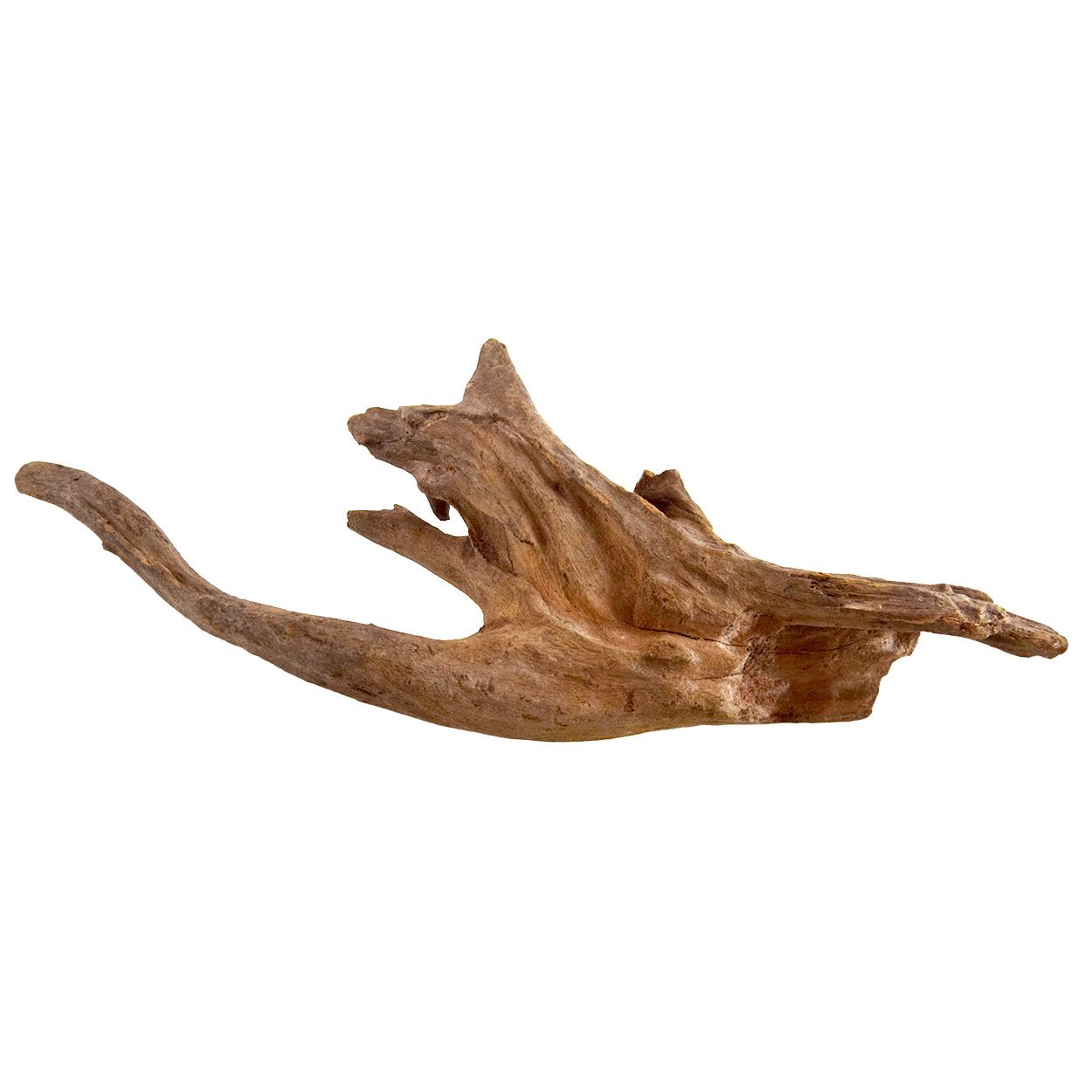 Reptile Underwater Treasures Kapas Root - Medium