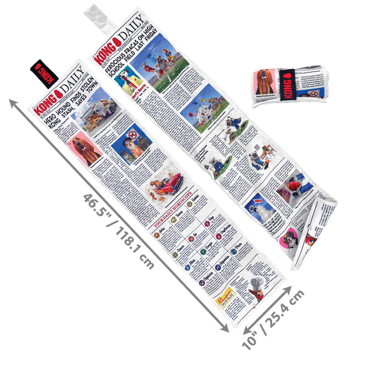 Kong Dog Toy KONG Daily