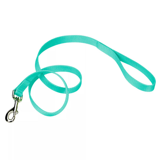 Coastal Single Ply 4ft Long 1in Dog Leash Teal