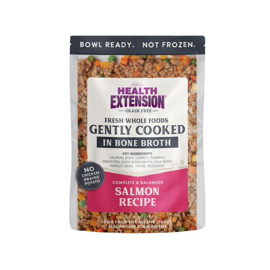 Health Extension Gently Cooked Grain Free Salmon And Duck Dog Food 9oz