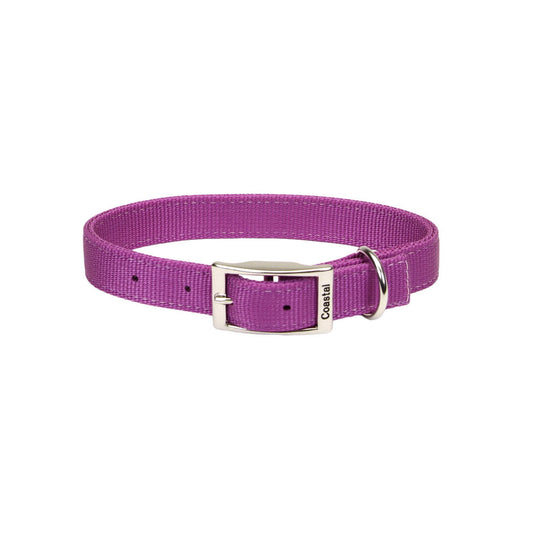 Coastal Double-Ply Dog Collar, Orchid, Large - 1in x 24in