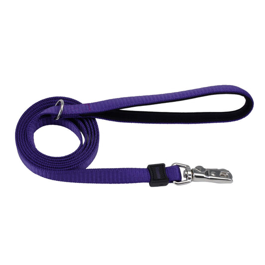 Coastal Inspire Dog Leash, Inspire Purple, Medium/Large - 1in x 6ft