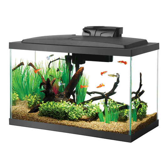 Aqueon Aquarium Starter Kit with LED Lighting 10