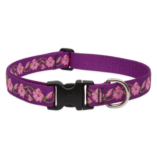 Lupine Pet Dog 1 In Wide 12-20 In Adjustable Collar Original Designs Rose Garden