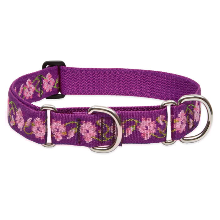 Lupine Pet Dog 1 In Wide 19-27 In Martingale Collar Original Designs Rose Garden