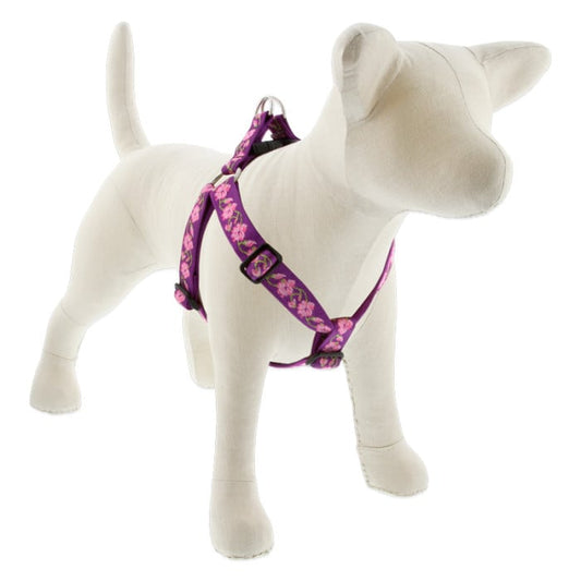Lupine Pet Dog 1 In Wide 19-28 In Step  In Harness Original Designs Rose Garden