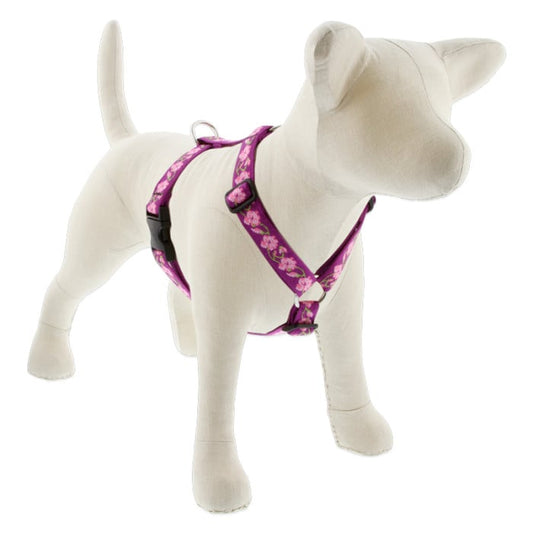 Lupine Pet Dog 1 In Wide 24-38 In Roman Harness Original Designs Rose Garden