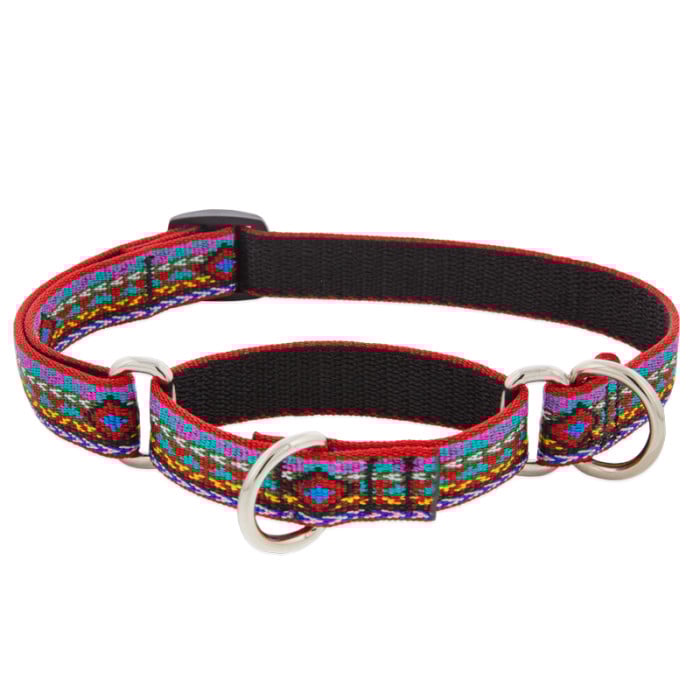 Lupine Pet Dog 3/4 In Wide 10-14 In Martingale Collar Original Designs El Paso