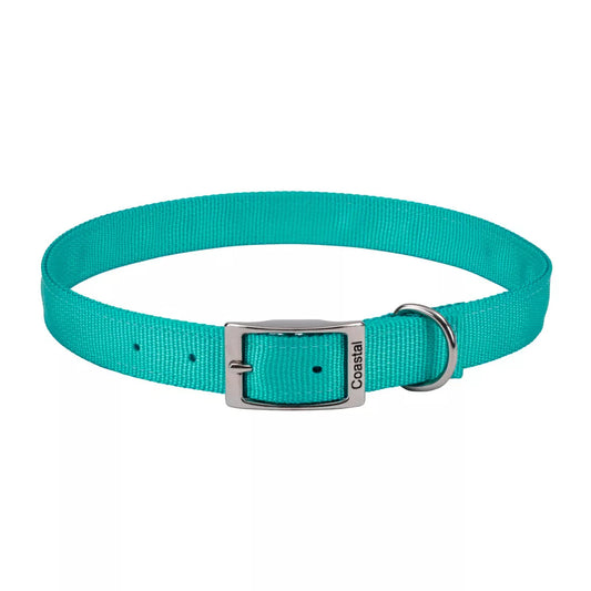 Coastal Double Ply 1in Wide 22in Dog Collar Teal
