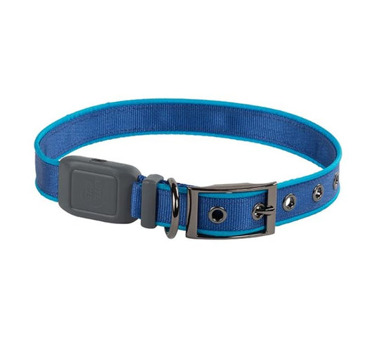 Nite Ize NiteDog Rechargeable LED Collar, Blue, Medium