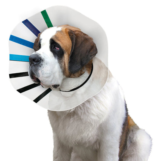 KONG EZ Clear Collar XXL
