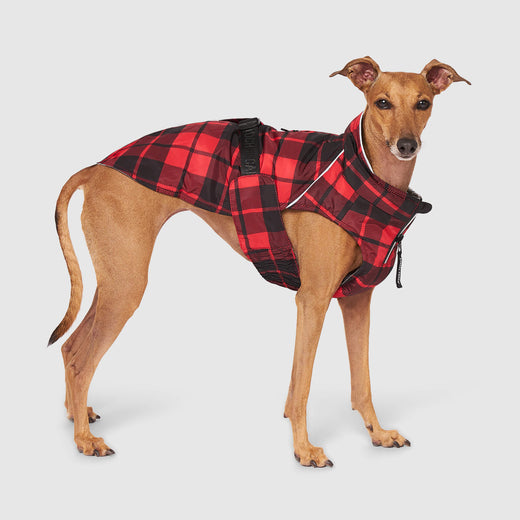 Canada Pooch Red Plaid Expedition Coat Size 34