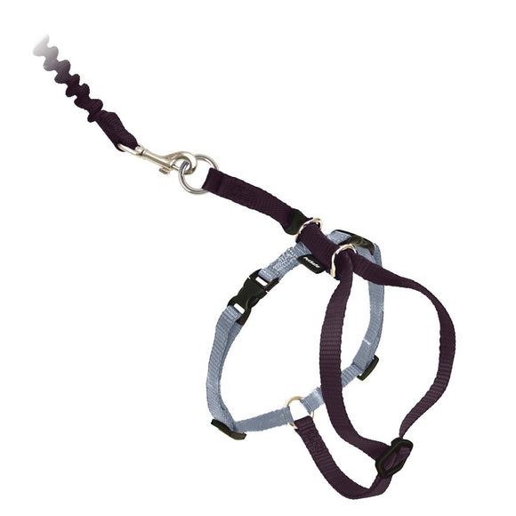 PetSafe Come With Me Kitty Harness and Bungee Leash Small Black