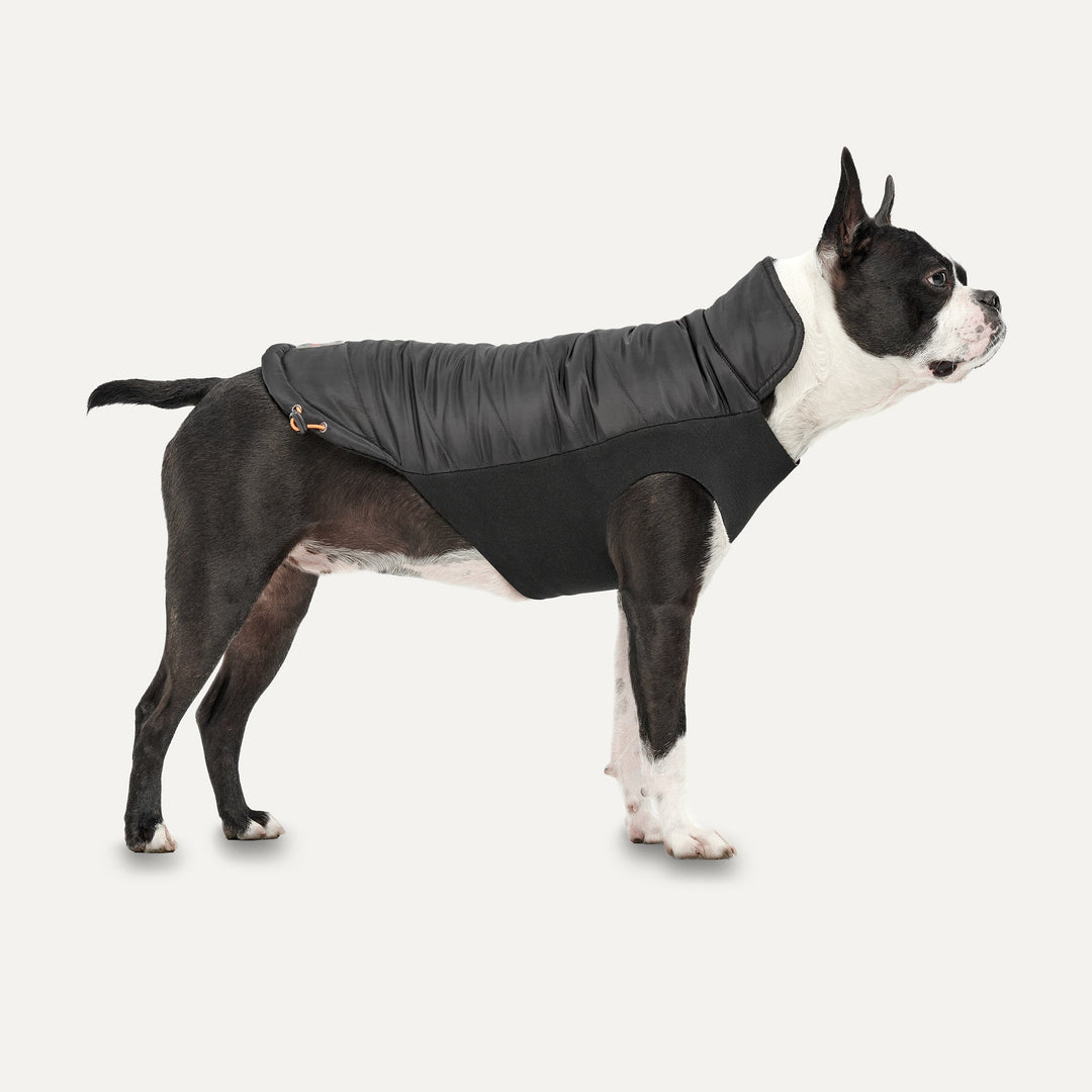 Gooeez Kangaroos Signature Mock Neck Jacket for Dogs Black XX Large