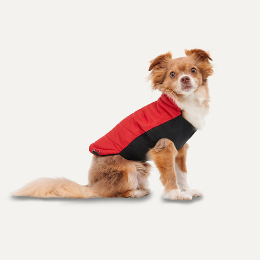 Gooeez Kangaroos Signature Mock Neck Jacket for Dogs Red XX Large
