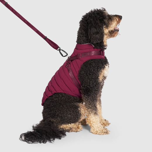 Canada Pooch Plum Harness Puffer Coat Size 16