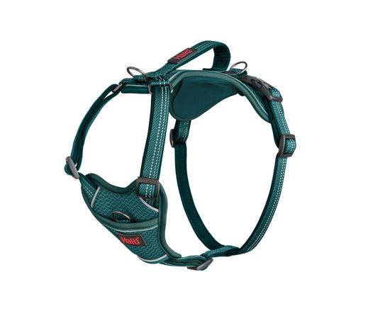 Company of Animals Halti Anatomy Harness Green Small