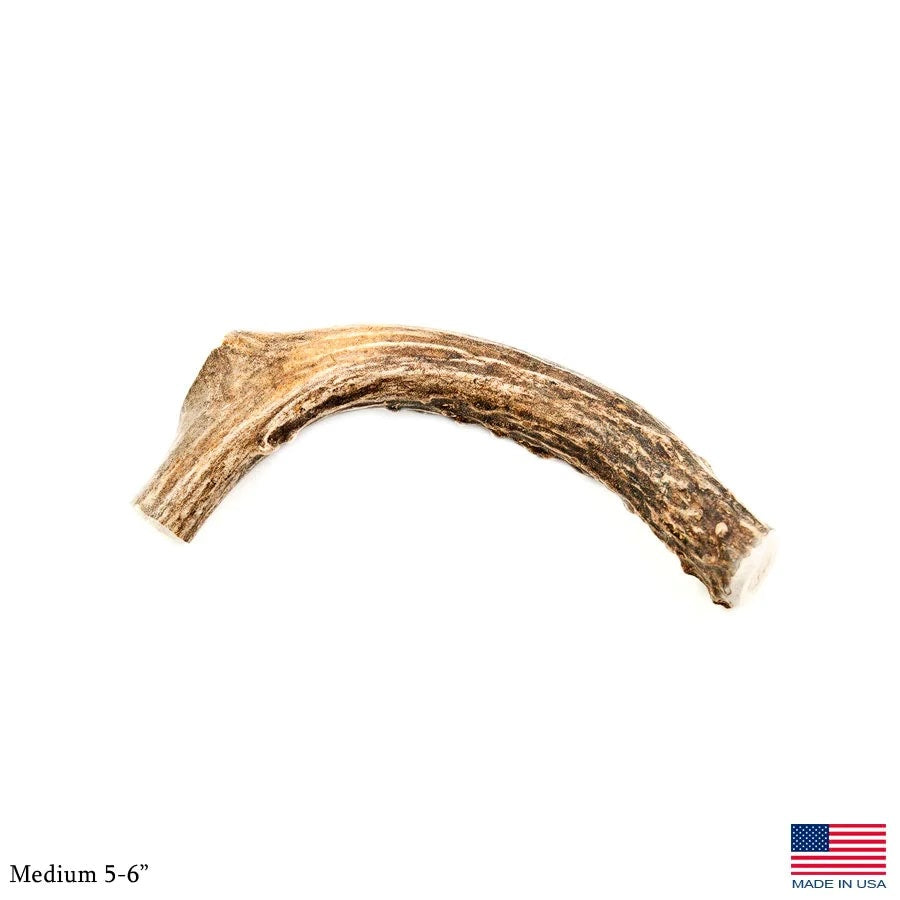 Silvergate Antler Dog Chew Whole Deer Medium