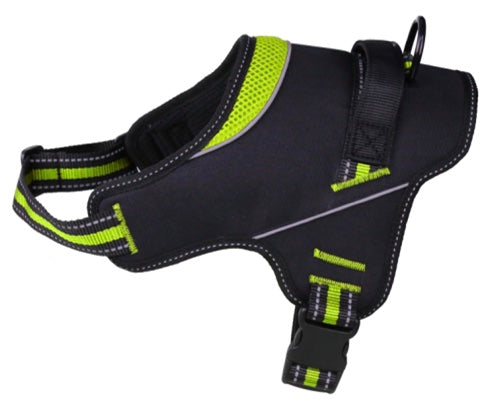 Doggy Tales Hart Harness Lime 40in