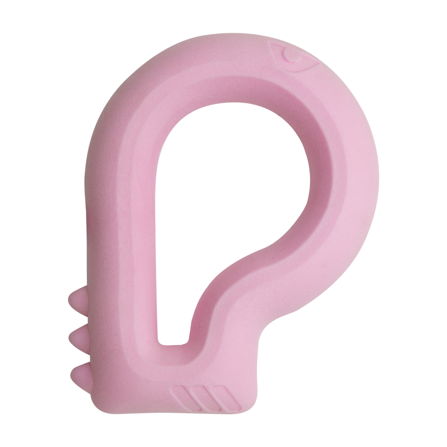 Snugarooz Dog Toy Floating Dino