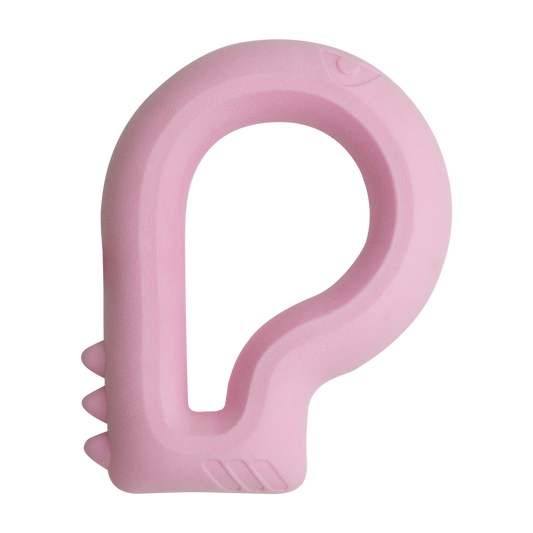 Snugarooz Dog Toy Floating Dino