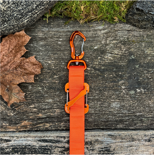 Canine Outdoor Crosswalk Clip Hands Free 10ft Dog Leash Orange