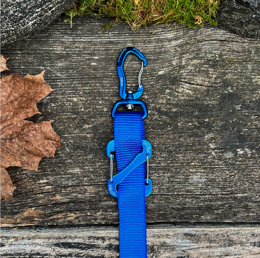 Canine Outdoor Crosswalk Clip Hands Free 10ft Dog Leash Blue