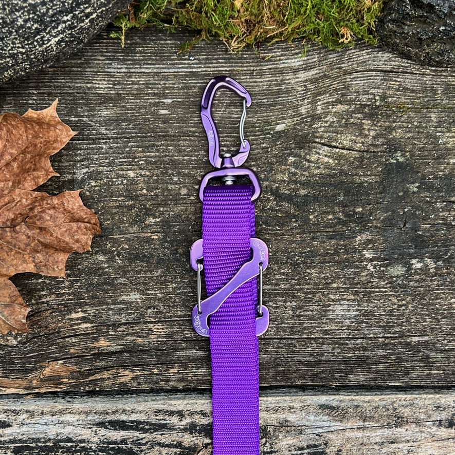 Canine Outdoor Crosswalk Clip Hands Free 10ft Dog Leash Purple