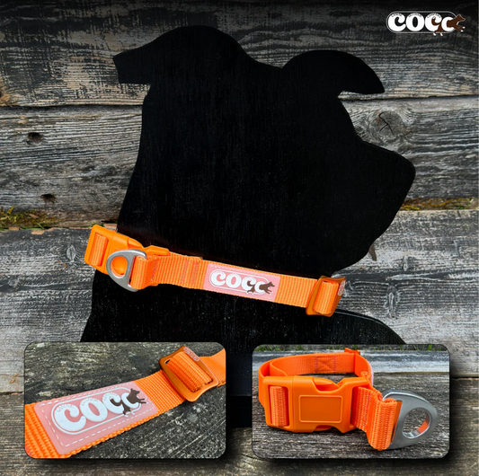 Canine Outdoor Adjustable Dog Collar Orange