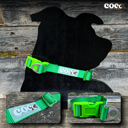 Canine Outdoor Adjustable Dog Collar Green