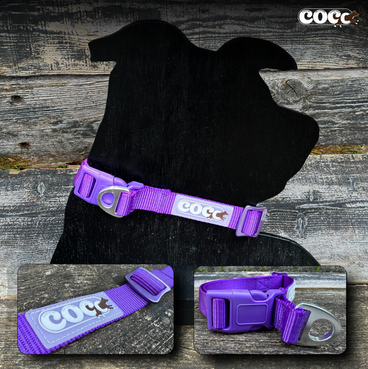 Canine Outdoor Adjustable Dog Collar Purple