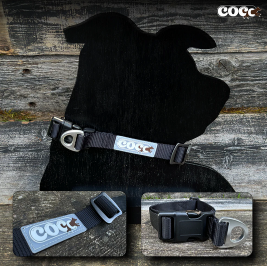 Canine Outdoor Adjustable Dog Collar Black
