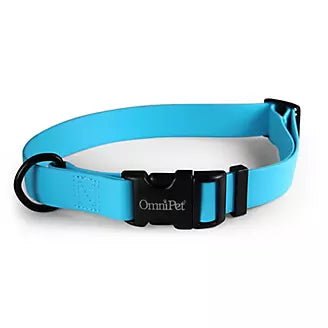 Carnival Color Dog Collar with Name Plate 3/4in 14-20in Light Blue