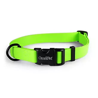 Carnival Color Dog Collar with Name Plate 3/4in 14-20in Lime Green