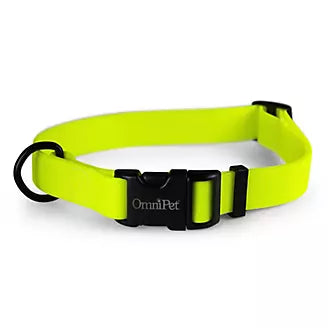 Carnival Color Dog Collar with Name Plate 3/4in 14-20in Neon Yellow