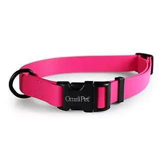 Carnival Color Dog Collar with Name Plate 3/4in 14-20in Ruby Red